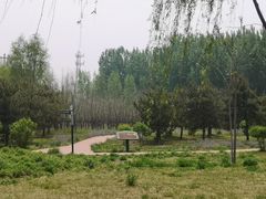 -潇河湿地公园