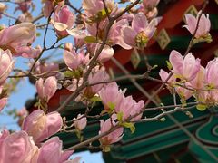 -大钟寺古钟博物馆