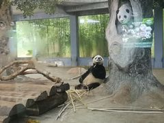 -海南热带野生动植物园