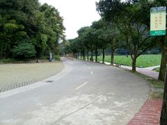 -广州市石门国家森林公园