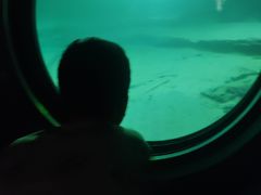 -白鹤梁水下博物馆