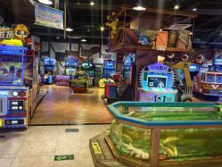 -卡通尼·Safari非洲探索乐园·生日会(金桥国际商业广场店)