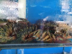 -海帮主·蒸汽海鲜青岛菜(栈桥火车站店)