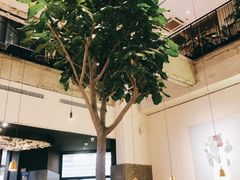 大堂-大树餐厅(红旗街万达店)