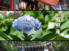 -寂照庵