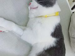 -拜鲁耶动物诊疗中心·宠家动物医院