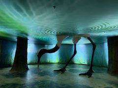 -盐城丹顶鹤湿地生态旅游区