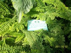 北京观光南瓜园&nbsp;(52)-观光南瓜园