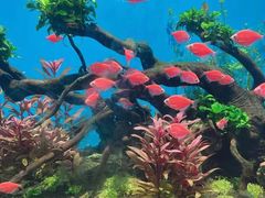 -海合安武汉极地海洋公园
