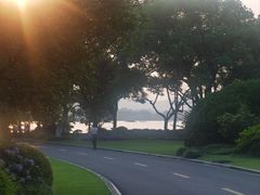 -浙江西子宾馆·牡丹厅