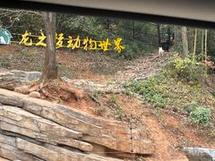 -太湖龙之梦