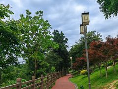 -铁山坪森林公园