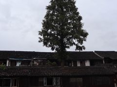 -乌镇东栅景区
