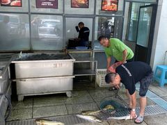 -江龙饭店·乌江豆腐鱼(乌江老桥头店)