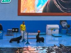-蓬莱欧乐堡海洋极地世界
