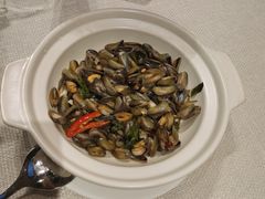 -陈鹏鹏潮汕菜(欢乐海岸 海边景观店)