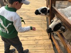 -北京鹿世界主题园