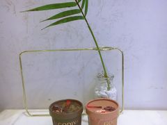-GODIVA(恒隆广场店)