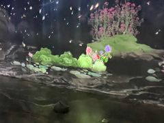 -临沂市博物馆