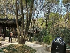 -上海佘山国家森林公园天马山园