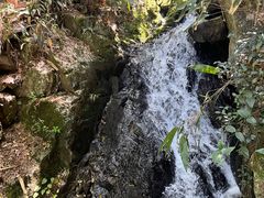 -藏龙百瀑风景区