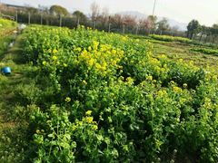 门面-呼吸森林·生态农庄农家乐私房菜