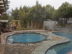 -老字号怡玺·藿香雅鱼(20年雅安店)