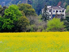 -新安江山水画廊风景区