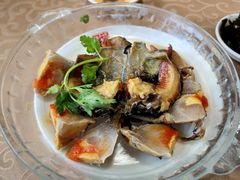 -百年银屏蚝烙·潮汕菜·非遗(乐山店)