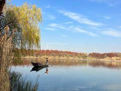 -溱湖国家湿地公园