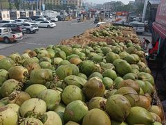 -双福水果批发市场