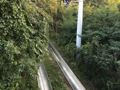 -富斯特索道