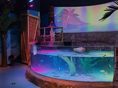 -沈阳海洋探索中心