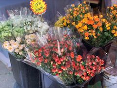 -循礼门鲜花花市(武汉循礼门店)