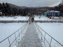 -横道河子东北虎林园