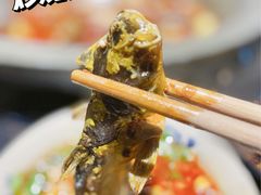 -石锅苗苗鱼(武汉首店)
