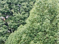 -菌之家·专业纯野生菌火锅·特色炒菌