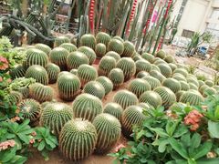 -石家庄市植物园