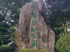 -昆山城市生态森林公园