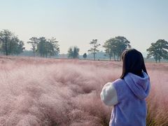 -汉长安城未央宫国家考古遗址公园