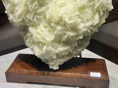 -湖南省地质博物馆