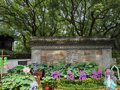 -上海醉白池公园