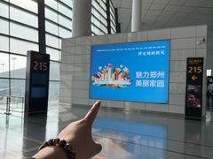 -郑州新郑国际机场-T2航站楼