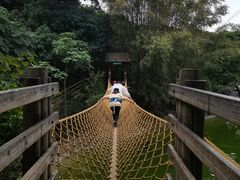 -青青世界