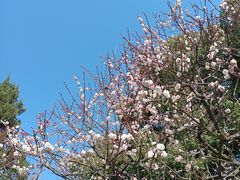 -岳王庙