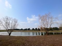 -苏州湾体育公园