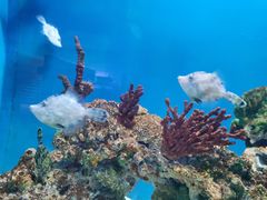 -海合安武汉极地海洋公园