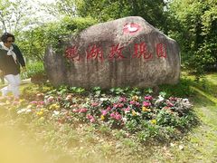 -鹅湖玫瑰文化园