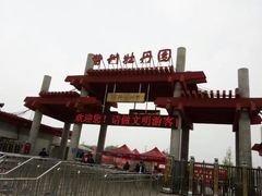 -曹州牡丹园