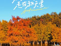 -青山湖景区
